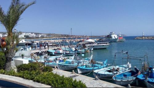 Grand Napa Harbor 3 Bedroom Penthouse Apartment Large 65m2 Balcony with Sea view