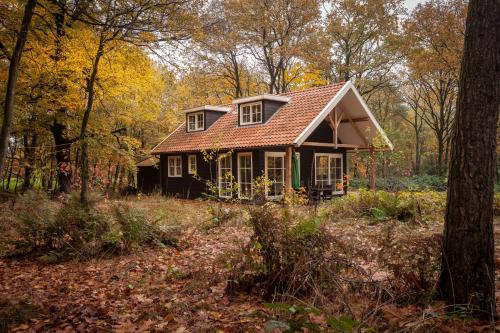 Bos en Heide in Hezingen