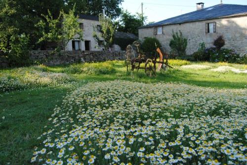  Casa Caxigueiro in Sabenche