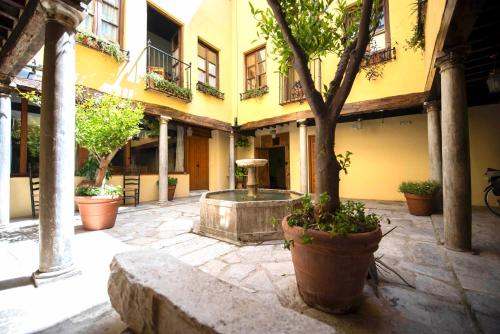 Apartamentos Vista Alhambra - image 7
