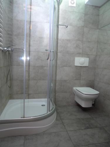 Hotel Pod Jedlami - image 4