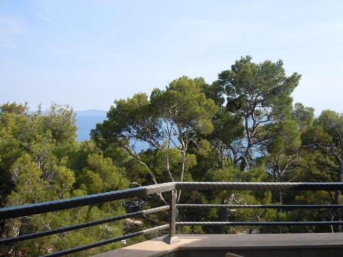 One-Bedroom Apartment with Balcony and Sea View room in Apartments by the sea Sveta Nedilja Hvar - 13753