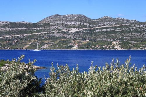 Apartments by the sea Tri Zala Korcula - 9237 - image 3