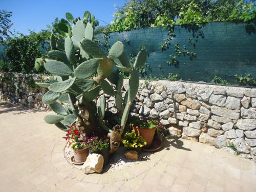 B&B Oceano – Monopoli, LA