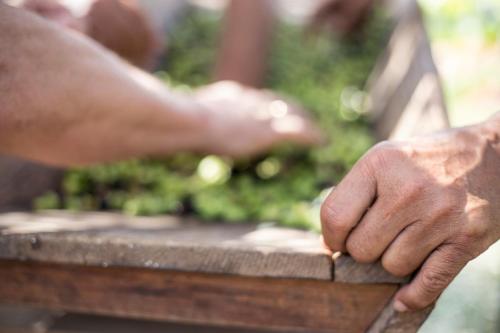 Hotel Santa Chiara - image 11