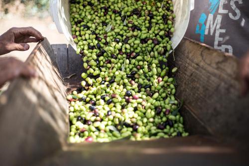 Hotel Santa Chiara - image 7