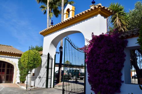 Puerta de Algadir - image 10