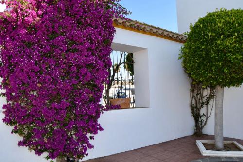 Puerta de Algadir - image 14