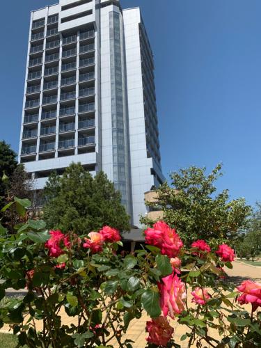Kamenec Hotel - image 9