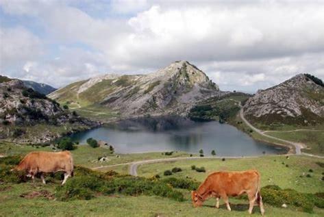  Apartamento El Fondon 2 in Cangas de Onís