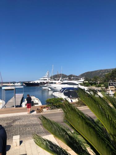 Appt T2 Standing avec Piscine et Terrasse