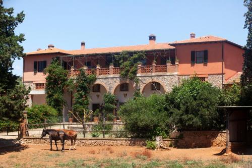  Agriturismo Grazia, Orbetello bei Giglio Campese