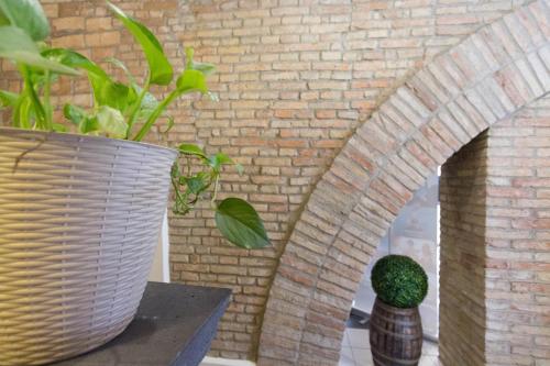 Arcobaleno Rooms - image 12
