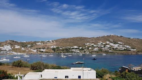  Giannis and Irene Apartments in Mykonos Stadt