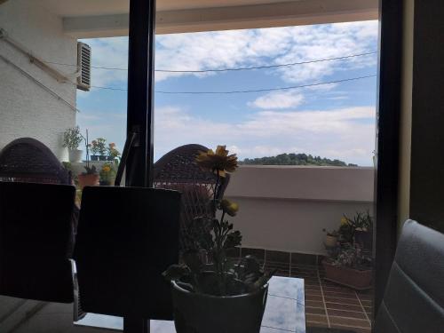 SLAVICA - image 4