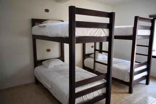 Casa Janaab Palenque - Hostel Room Type - Bunk Bed in Mixed Dormitory Room