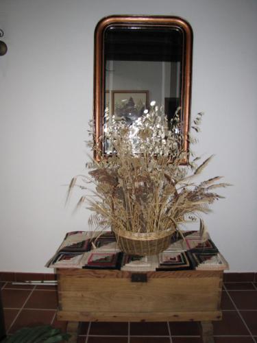 Casa Tia Emilia - main image