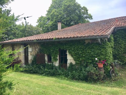 Ieeja, Sous le Tilleul in Aubeterre-sur-Dronne