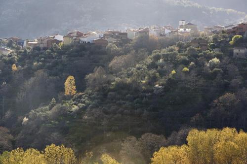 Lo Alto - image 9