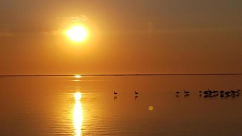 Flamingo Cottage no 12