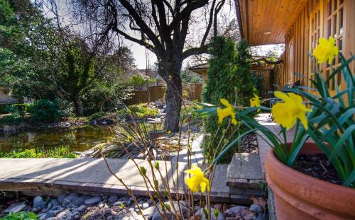 Galiano Oceanfront Inn & Spa