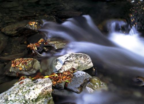Lo Alto - image 11
