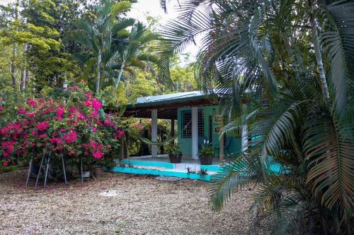 Rincón Blu Tropical House - image 7