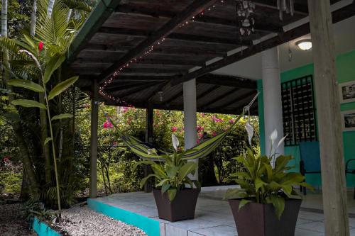 Rincón Blu Tropical House - image 9