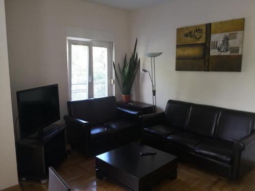 Ana's Apartment - image 10