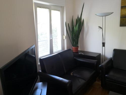 Ana's Apartment - image 8