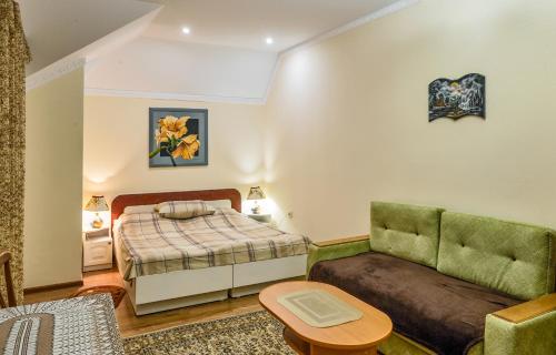 Апартаменты / Mieszkania / Apartments Svitlana, Truskavets (photo 8)