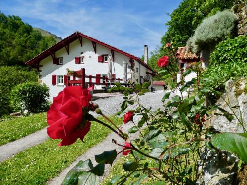 Chambres d'hôtes Agorerreka - Accommodation - Saint-Étienne-de-Baïgorry