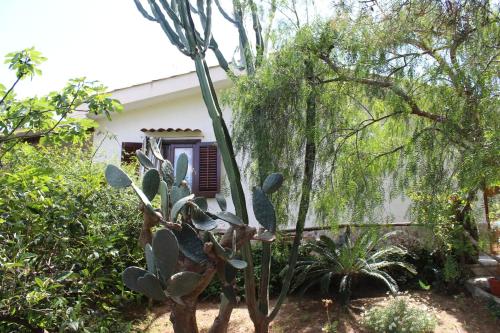  Villa Costa Grande in Altavilla Milicia