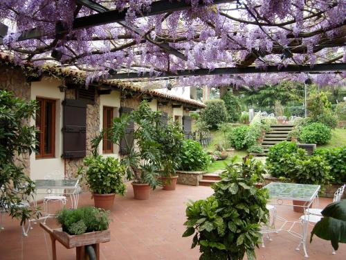 Villa La Nina - image 7