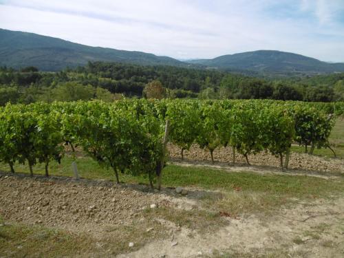 LIMOUX RIVERSIDE GARDENs