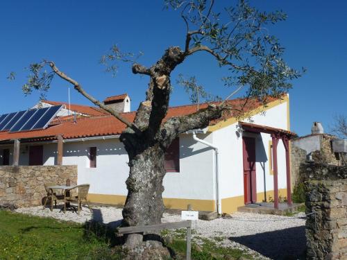  Casa Vermelha & Casa Azul in Castelo de Vide