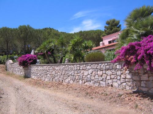  Studio-Appartment in Landhaus mit Meerblick, Unterkunft in Porto Azzurro