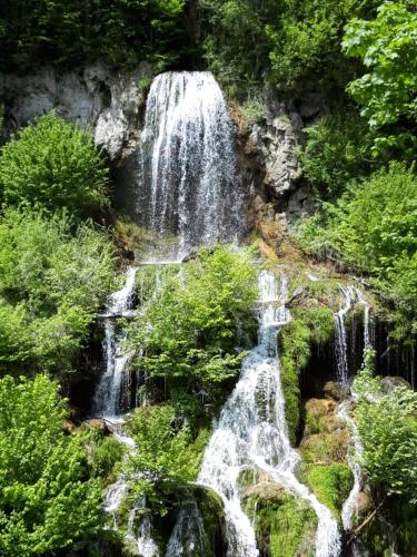 Colț de rai - camera de inchiriat