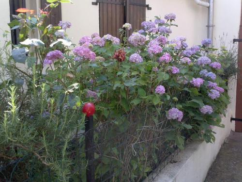 Bienvenue Chez Nous - image 14