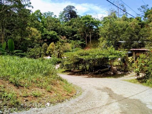 กีฬาและกิจกรรมสันทนาการ, Bee Happy Studio in ปลายาโกเกลส