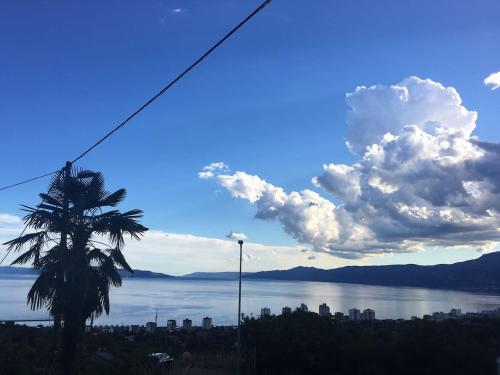  Little Olive in Rijeka