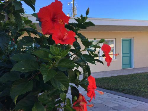 The Catalina – Panama City Beach, FL