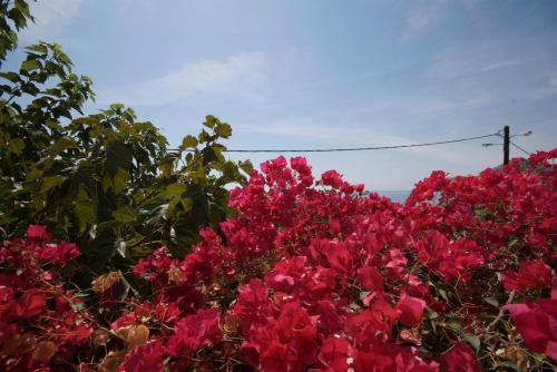 Sarikampos Beach - image 5