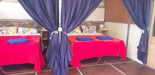 6 sofa beds