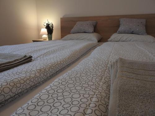  Akali Apartman in Balatonakali