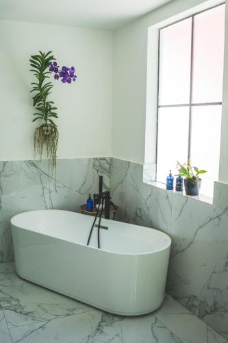 Orchid House Polanco Orchid House Polanco