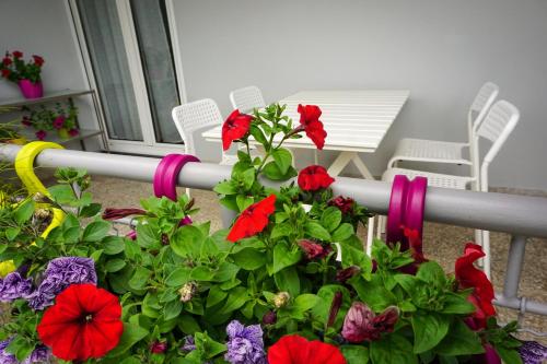 Apartment Nena