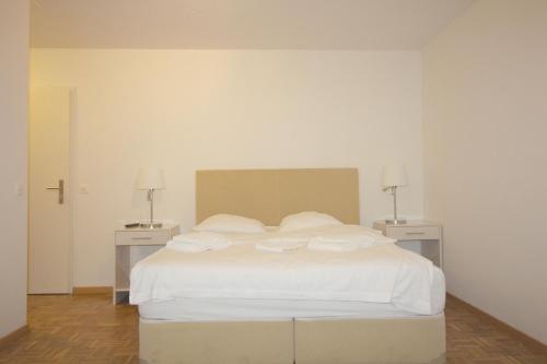Swiss Star District 11 Room Type - Studio Apartment