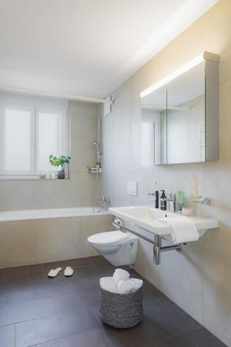 スイス スター エルリコン ディストリクト