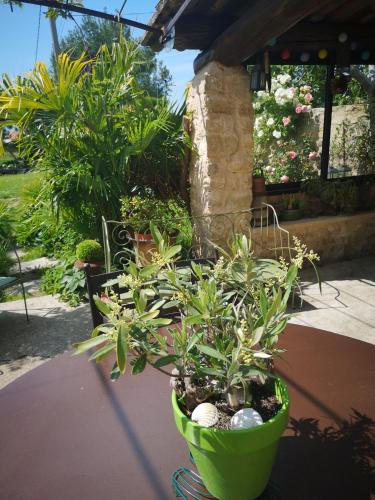 Domaine La Condamine - image 6